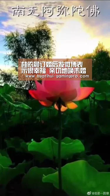 林依晨订婚后发微博表示很幸福 亲切地唤未婚夫“哈尼”“华体会电竞”(图3) 华体会电竞竞猜