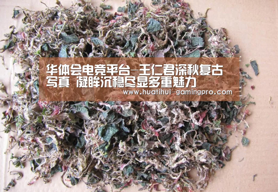 华体会电竞平台-王仁君深秋复古写真 凝眸沉稳尽显多重魅力(图1) 华体会电竞平台